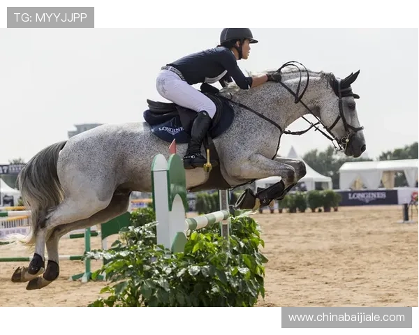 博鱼真人直播平台让你尽享高清流畅的真人竞技娱乐体验