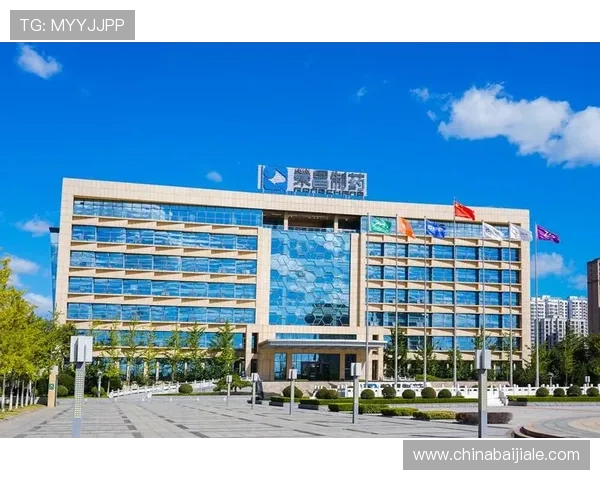 深入了解K8视讯集团的核心优势与创新技术，助力玩家实现更高的娱乐体验