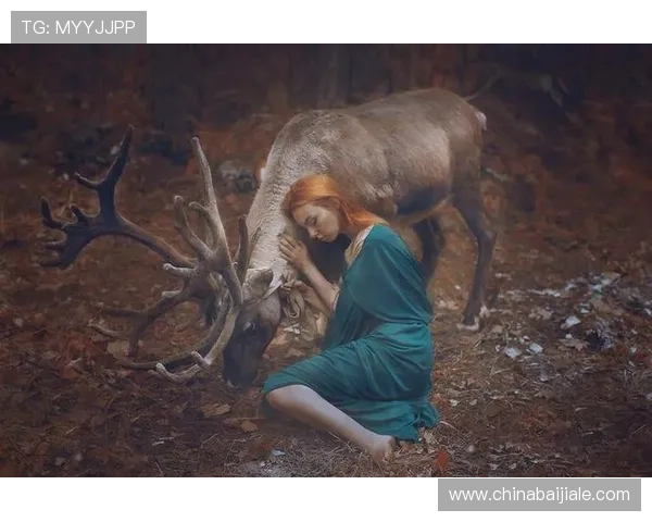 高画质高清真人视讯真人版，带来最逼真的视觉享受与互动体验