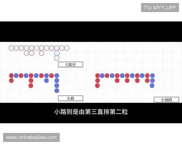 百家樂下三路的基本规则与实战技巧，帮助新手快速入门赢取更多利润