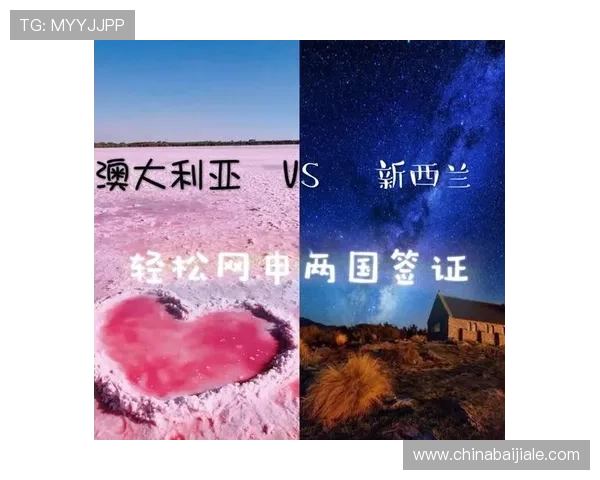 世界杯加拿大对阵波黑比赛签证审批时间及加快办理的实用建议
